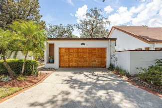 11407 Orilla Del Rio Place, Temple Terrace, FL 33617