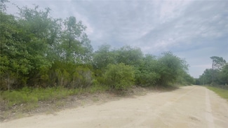 Lot 115 NE 87 Place, East Bronson, FL 32621