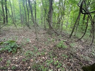 TBD Herring Rd, Masontown, WV 26542
