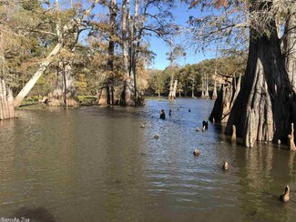 0 Mc 35 Rd Unit 17032523, Doddridge, AR 71834