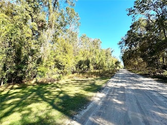 247 SW Otter Ln, Ft. White, FL 32038