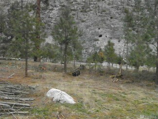 13579 Entiat River Rd, Entiat, WA 98822