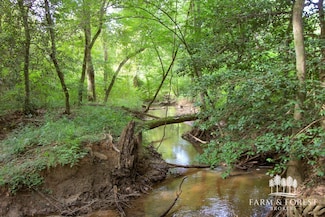 0 County Road 309, Skipperville, AL 36374