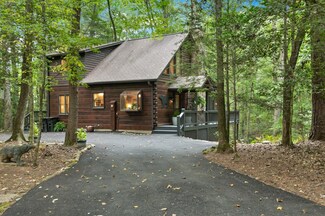 35 Cedar Ridge Rd, Cherry Log, GA 30522