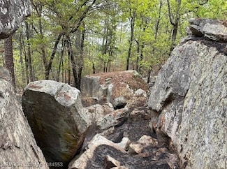 TBD Kiamichi Wilderness, Antlers, OK 74523