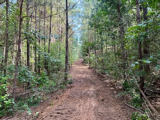 Hwy 395, Noxapater, MS 39346