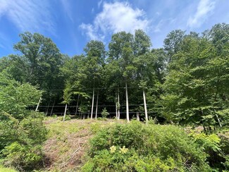 847 Turkey Creek Rd, Ansted, WV 25812
