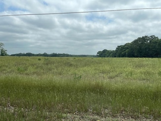 0 Omussee Rd Unit 203394, Dothan, AL 36303
