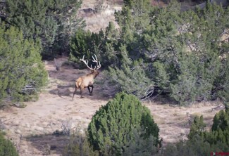 84521 County Road 40.2 Unit Poitry Canyon Ranch, Branson, CO 81027