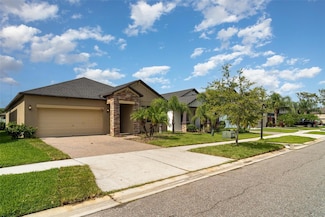 13244 Satin Lily Dr, Riverview, FL 33579