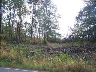 409 Blockhouse Run Rd, New Brighton, PA 15066