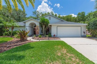 3346 Wedgewood Way, Tarpon Springs, FL 34688