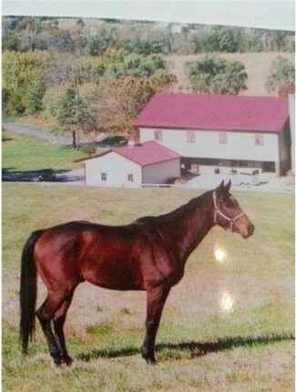 230 Sheep Hill Rd, Newmanstown, PA 17073