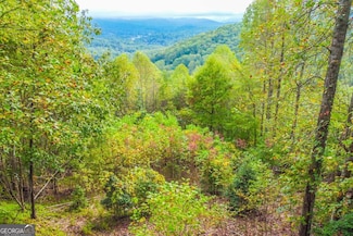 0 Summit Trail Unit 10458494, Hiawassee, GA 30546