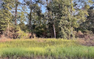 LOT11 NW Alapaha Woods Way, Jasper, FL 32052