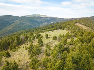 8665 Ottowa Gulch Rd, Canyon Creek, MT 59633