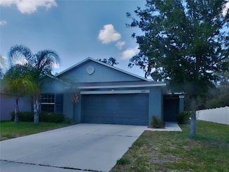 10242 Strawberry Tetra Dr, Riverview, FL 33578