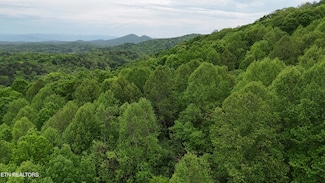 115 Calvender Rd, Turtletown, TN 37391