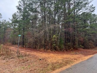 99999 Hebron Rd, Homer, LA 71040