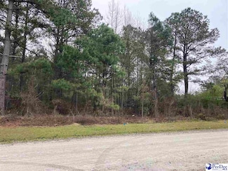 4522 Mosswood Dr, Dillon, SC 29536