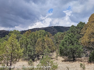 Lot 12 Buckboard & Loma Grande, Nogal, NM 88341