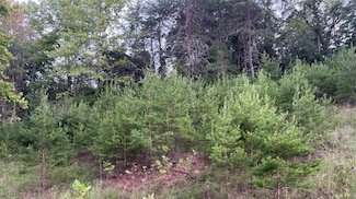 210 Farrow Hill Rd, Davisville, WV 26142