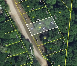 64 Blackwood Dr, Nunnelly, TN 37137