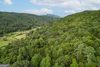 3.15 ACRES Barnyard Ln, Clayton, GA 30525