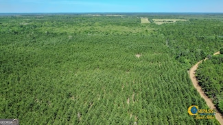 0 Miller Rd Unit 10319190, Mauk, GA 31058