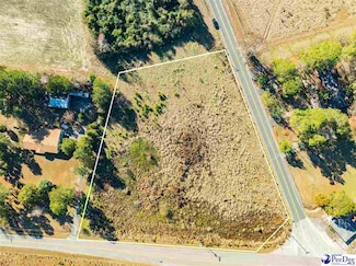 2.34 Acres Hwy 57, Pamplico, SC 29583
