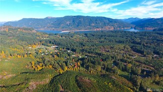 0 Lewis River Rd Unit 1182650, Cougar, WA 98616