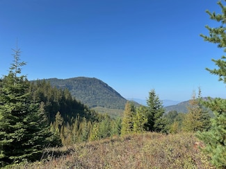 Usfs Rd 2294, Clark Fork, ID 83811