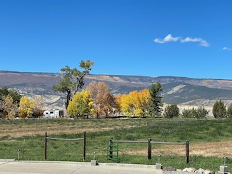 13147 Alboe Ln, Eckert, CO 81418