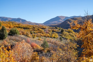 541 S Left Fork Hobble Creek Rd Unit 8, Springville, UT 84663