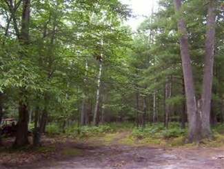 1380 W White Rd, Free Soil, MI 49411