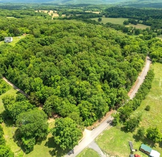 0 Jeffery Cutoff, Locust Grove, AR 72550