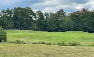 14 Grandview Cir, Glencoe, AL 35905