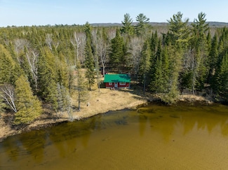 12247 Cold River Dr, Fife Lake, MI 49633