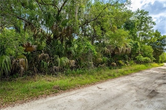 15085 W Roosters Crow Rd, Inglis, FL 34449