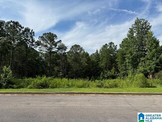 3029 Long Branch Dr Unit 167, Calera, AL 35040