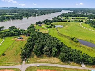 0 Lokey Ln Unit 1 21409436, Wilsonville, AL 35186