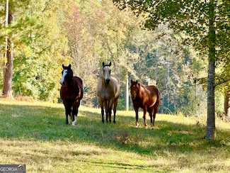 175 ACRES Roosevelt Hwy, Warm Springs, GA 31830