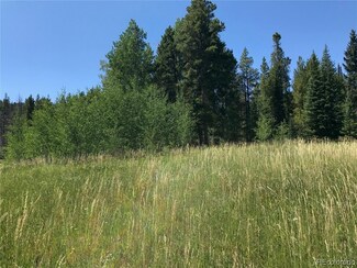 01 Colt Trail, Oak Creek, CO 80467