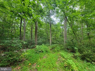 14358 Brown Rd, Sabillasville, MD 21780