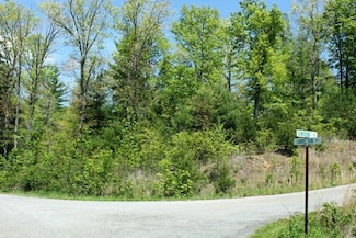 Tract 5 Ginseng Ln, Callaway, VA 24067