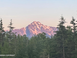 3577 N Clark Wolverine Rd, Palmer, AK 99645