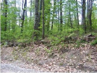 4 Range Rd, Epsom, NH 03234