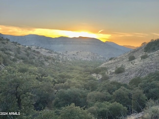 3183 N Pintek Ranch Rd, Bisbee, AZ 85603