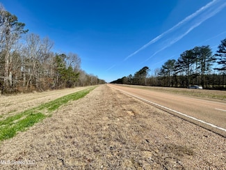 8662 Mississippi 25, Lena, MS 39094
