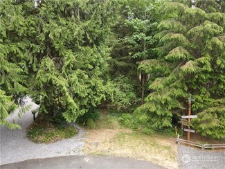 14039 Chimney Ln, Glacier, WA 98244